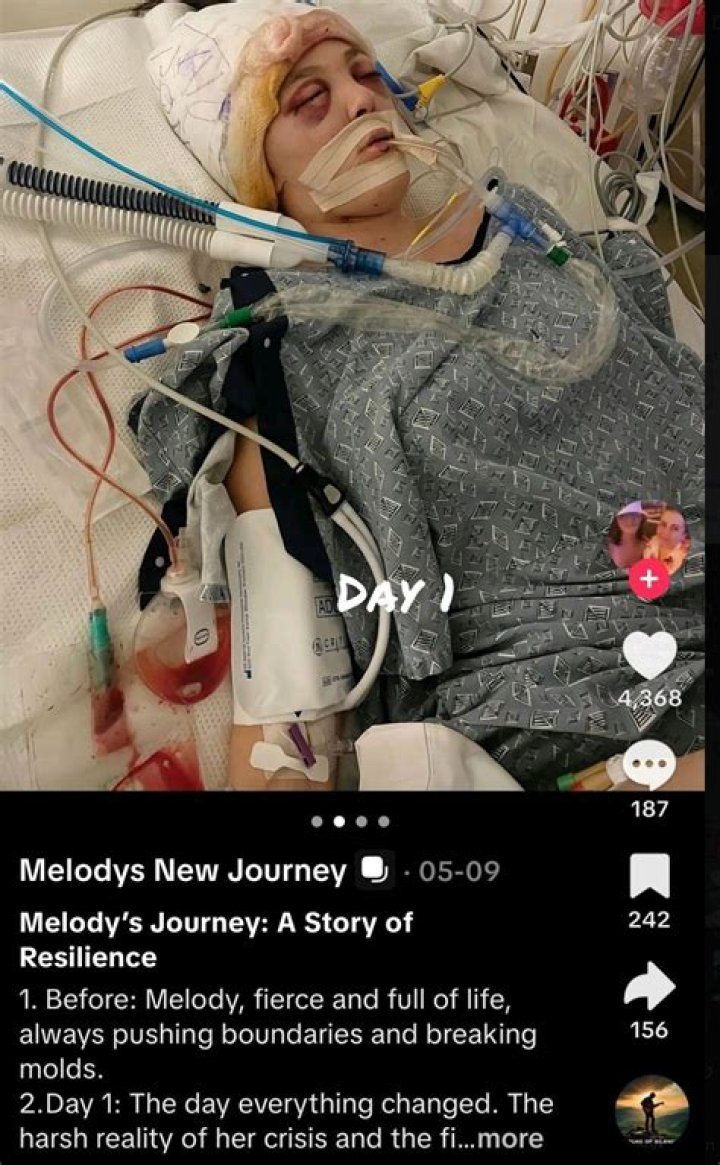 
What Happened To Melody Lane Cricut? Craft Youtuber Passed Away From COVID Illness 